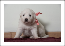 Capture One Session0297